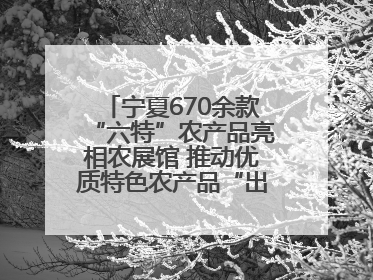 宁夏670余款“六特”农产品亮相农展馆 推动优质特色农产品“出宁进京”