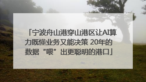 宁波舟山港穿山港区让AI算力既懂业务又能决策 20年的数据“喂”出更聪明的港口