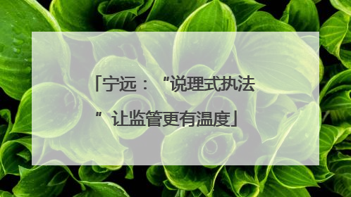 宁远：“说理式执法”让监管更有温度