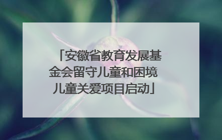 安徽省教育发展基金会留守儿童和困境儿童关爱项目启动