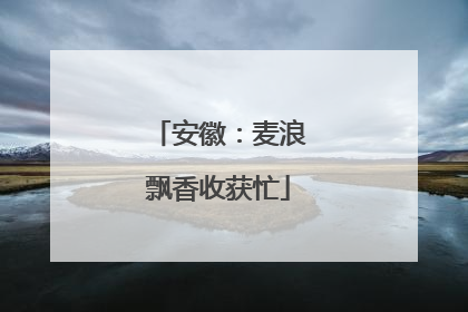 安徽：麦浪飘香收获忙