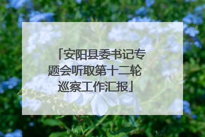 安阳县委书记专题会听取第十二轮巡察工作汇报