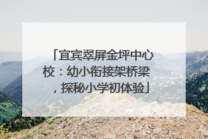 宜宾翠屏金坪中心校：幼小衔接架桥梁，探秘小学初体验