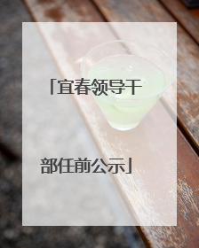 宜春领导干部任前公示
