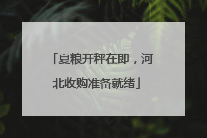 夏粮开秤在即，河北收购准备就绪