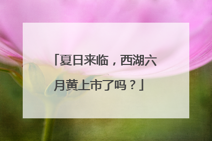 夏日来临，西湖六月黄上市了吗？