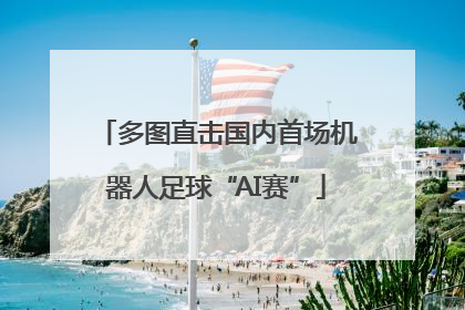 多图直击国内首场机器人足球“AI赛”