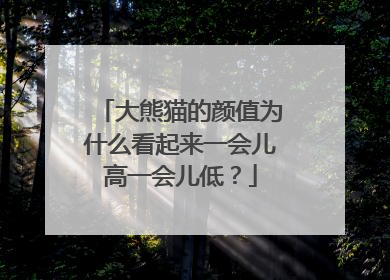 大熊猫的颜值为什么看起来一会儿高一会儿低？