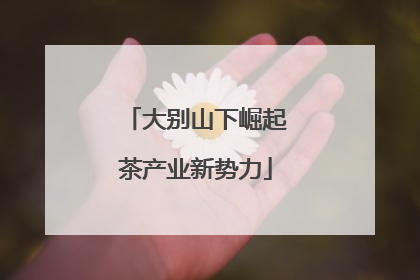 大别山下崛起茶产业新势力