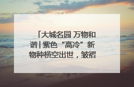 大城名园 万物和谐│紫色“高冷”新物种横空出世，皱褶叶片暗藏进化密码