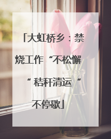 大虹桥乡：禁烧工作“不松懈“ 秸秆清运“不停歇