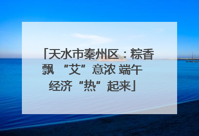 天水市秦州区：粽香飘 “艾”意浓 端午经济“热”起来