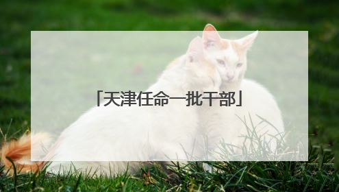 天津任命一批干部