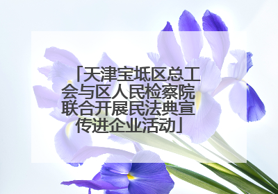 天津宝坻区总工会与区人民检察院联合开展民法典宣传进企业活动