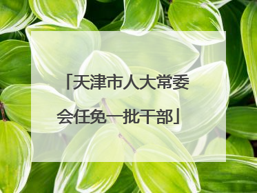 天津市人大常委会任免一批干部