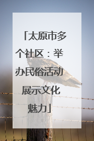 太原市多个社区：举办民俗活动 展示文化魅力