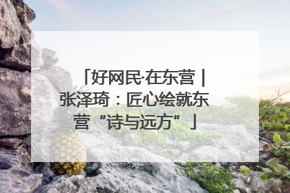 好网民·在东营｜张泽琦：匠心绘就东营“诗与远方”