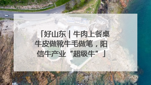 好山东｜牛肉上餐桌牛皮做靴牛毛做笔，阳信牛产业“超级牛”