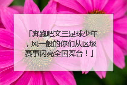 奔跑吧文三足球少年，风一般的你们从区级赛事闪亮全国舞台！