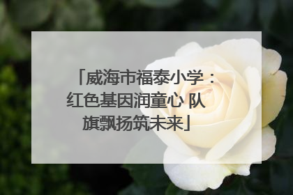 威海市福泰小学：红色基因润童心 队旗飘扬筑未来