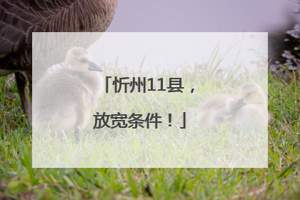 忻州11县，放宽条件！