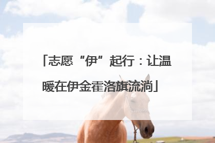 志愿“伊”起行：让温暖在伊金霍洛旗流淌