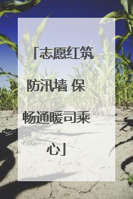 志愿红筑防汛墙 保畅通暖司乘心