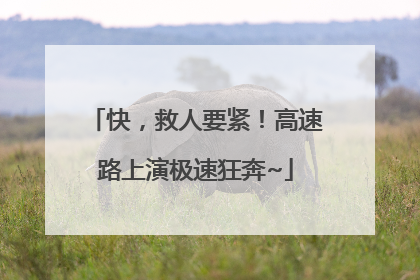 快，救人要紧！高速路上演极速狂奔~