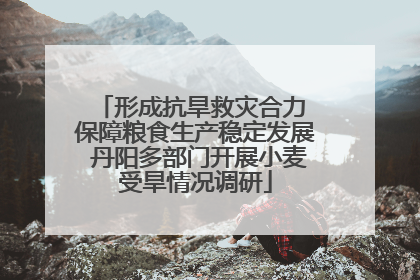 形成抗旱救灾合力 保障粮食生产稳定发展 丹阳多部门开展小麦受旱情况调研