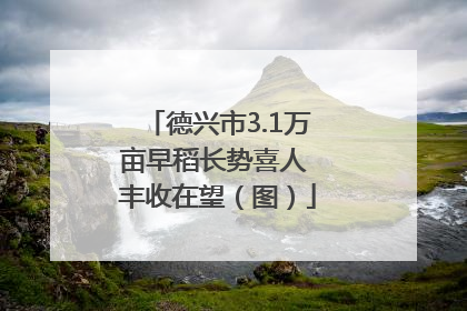 德兴市3.1万亩早稻长势喜人 丰收在望（图）
