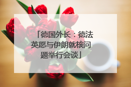 德国外长：德法英愿与伊朗就核问题举行会谈