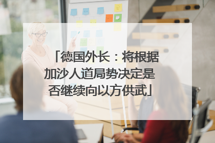 德国外长：将根据加沙人道局势决定是否继续向以方供武