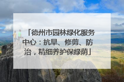 德州市园林绿化服务中心：抗旱、修剪、防治，精细养护保绿荫