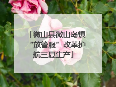 微山县微山岛镇“放管服”改革护航三夏生产