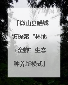 微山县驩城镇探索“林地+金蝉”生态种养新模式