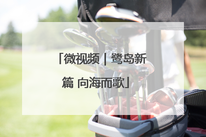 微视频｜鹭岛新篇 向海而歌