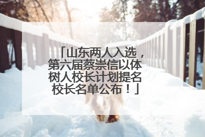 山东两人入选，第六届蔡崇信以体树人校长计划提名校长名单公布！
