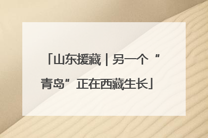 山东援藏｜另一个“青岛”正在西藏生长