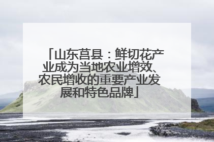 山东莒县：鲜切花产业成为当地农业增效、农民增收的重要产业发展和特色品牌