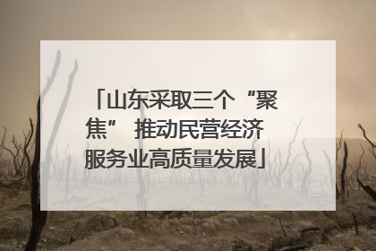 山东采取三个“聚焦” 推动民营经济服务业高质量发展