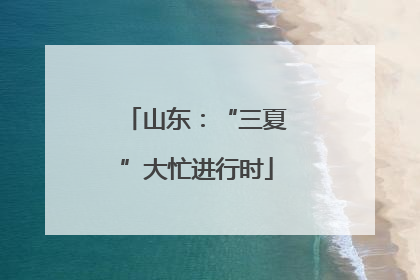 山东：“三夏”大忙进行时