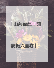 山海福建，铺展振兴画卷