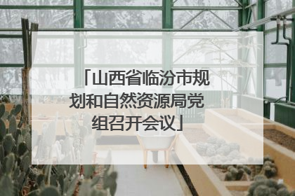 山西省临汾市规划和自然资源局党组召开会议