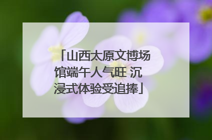 山西太原文博场馆端午人气旺 沉浸式体验受追捧