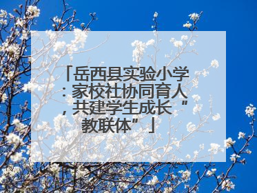 岳西县实验小学：家校社协同育人，共建学生成长“教联体”