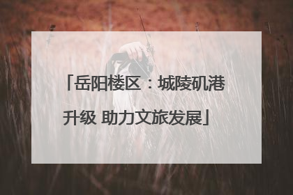 岳阳楼区：城陵矶港升级 助力文旅发展