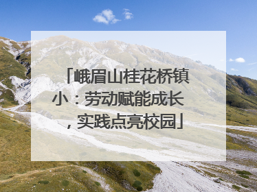 峨眉山桂花桥镇小：劳动赋能成长，实践点亮校园