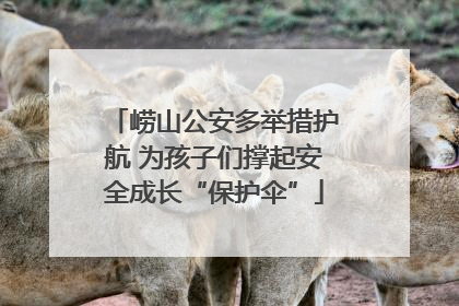 崂山公安多举措护航 为孩子们撑起安全成长“保护伞”