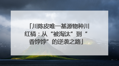 川陈皮唯一基源物种川红橘：从“被淘汰”到“香饽饽”的逆袭之路