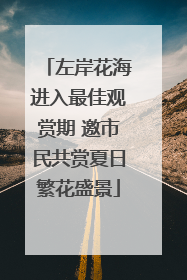 左岸花海进入最佳观赏期 邀市民共赏夏日繁花盛景